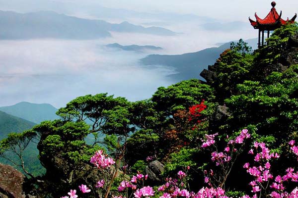 阳明山国家森林公园