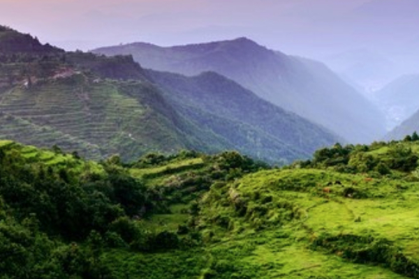 茗岙乡