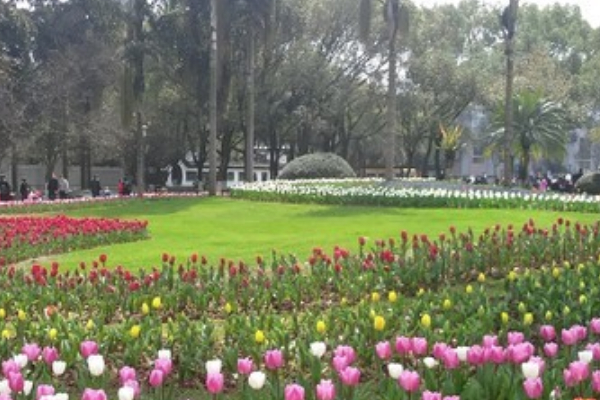 马鞍池公园
