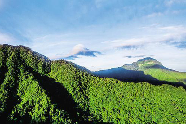 黎母山国家森林公园
