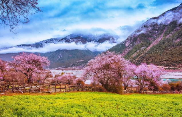 2021林芝桃花节是什么时间 林芝桃花什么时候开