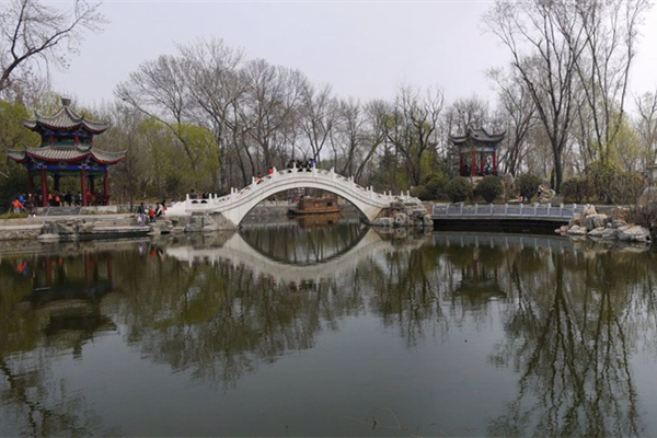 西沽公园