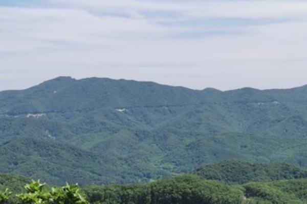 朱雀山国家级森林公园