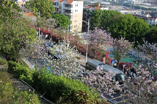 小南山公园