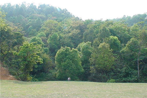 石芽岭公园