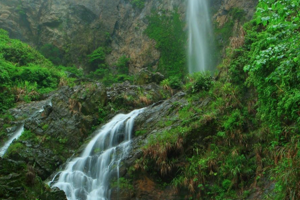 龙山森林公园