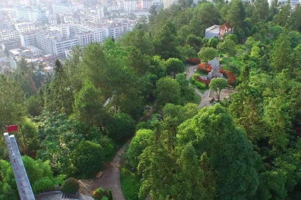 西瑶绿谷国家森林公园