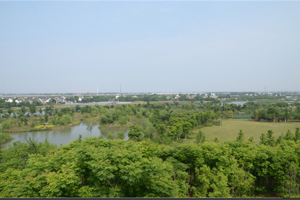 梁鸿湿地公园