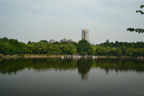 南京绣球公园