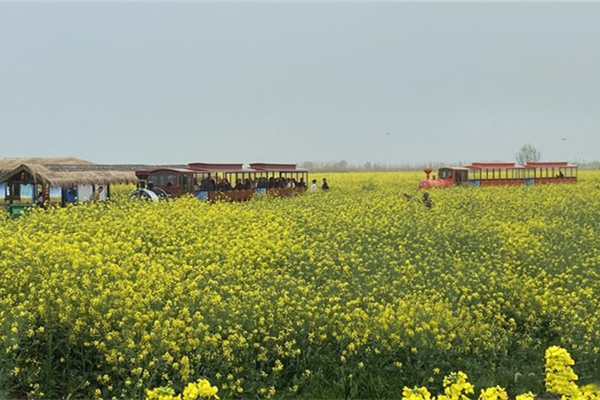 高邮湖郊野公园
