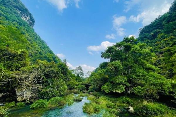 荔波茂兰自然保护区