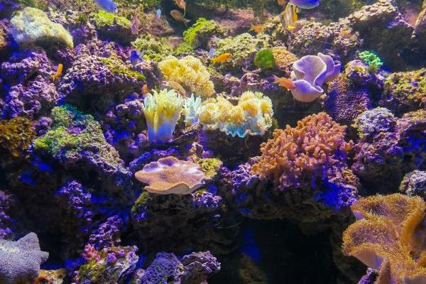 郑州海洋馆
