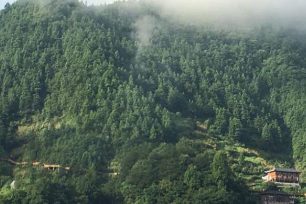黔东南雷公山国家森林公园