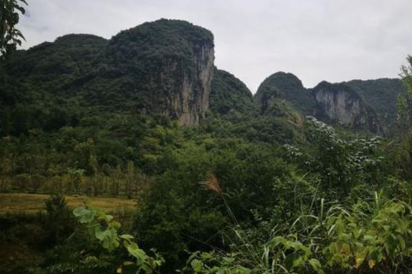 贵州甲茶风景名胜区