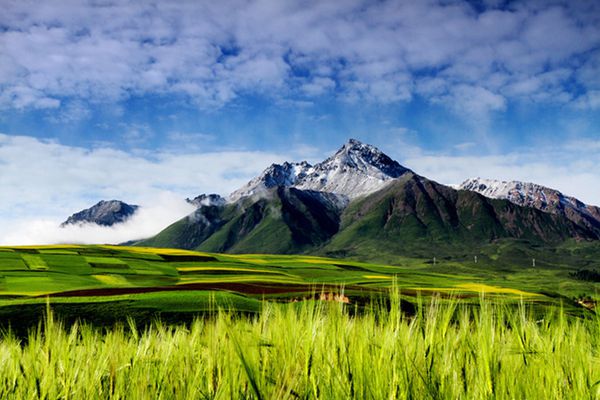青海祁连牛心山旅游攻略