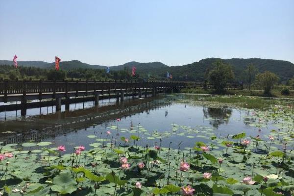 大石头亚光湖国家湿地公园