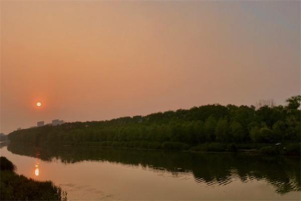 柳树湾湿地公园
